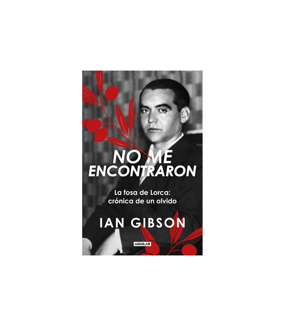 NO ME ENCONTRARON
