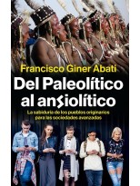DEL PALEOLÍTICO AL ANSIOLÍTICO