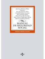 MANUAL DE SEGURIDAD SOCIAL