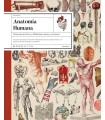 ANATOMÍA HUMANA