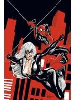 SPIDERMAN/LA GATA NEGRA. EL MAL QUE HACEN LOS HOMBRES 38