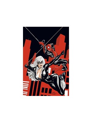 SPIDERMAN/LA GATA NEGRA. EL MAL QUE HACEN LOS HOMBRES 38