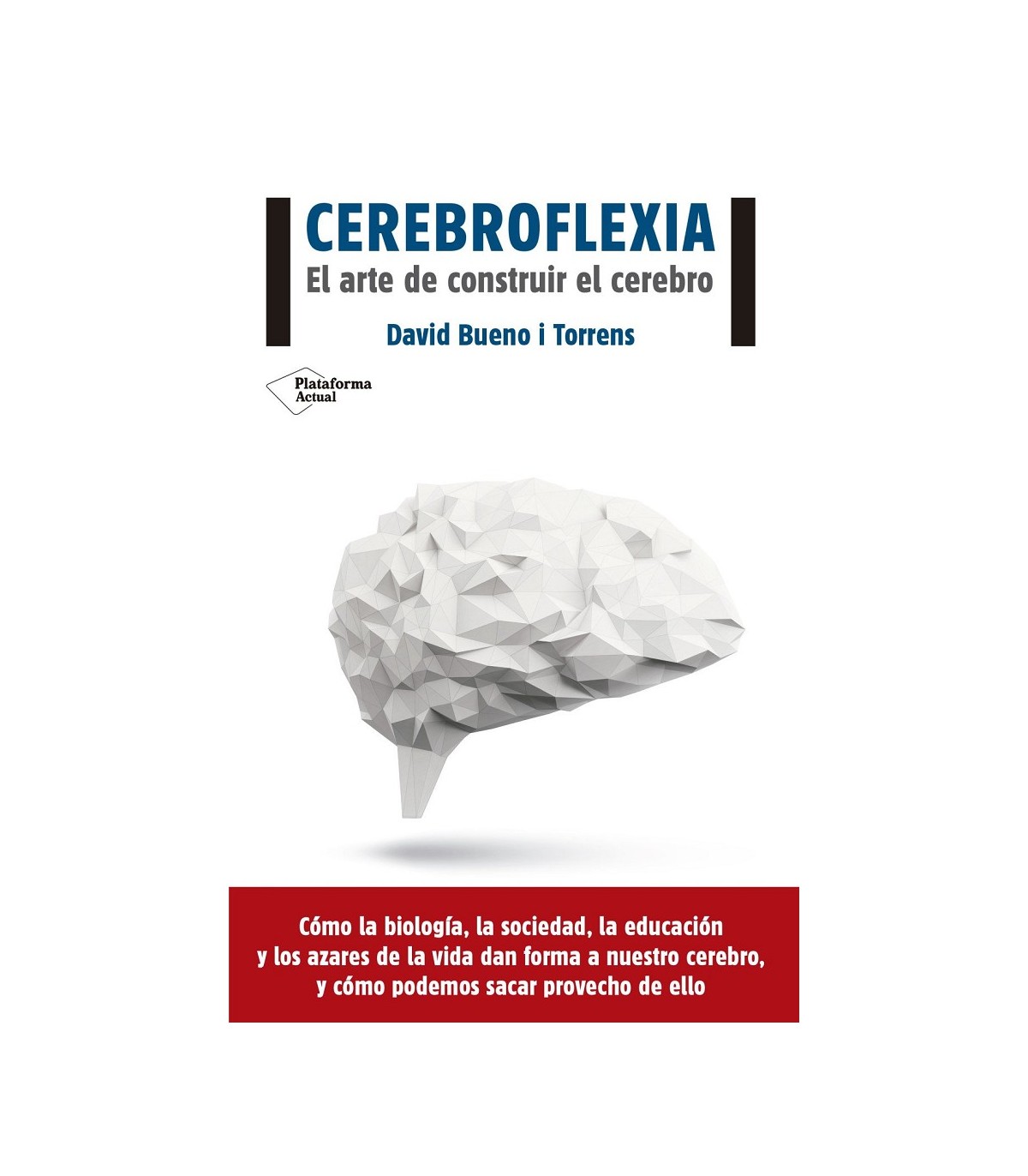 CEREBROFLEXIA