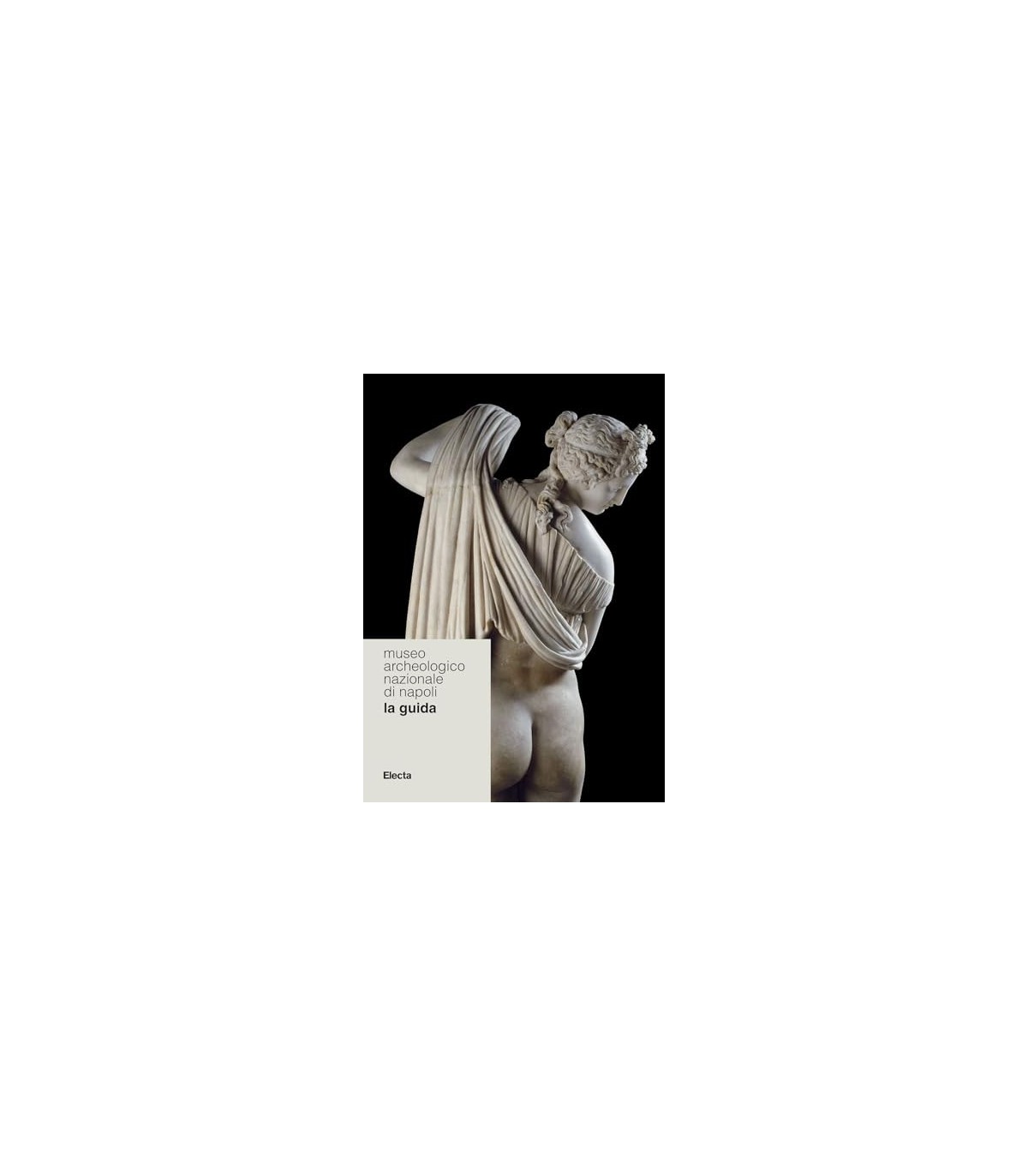 MUSEO ARCHEOLOGICO NAZIONALE DI NAPOLI LA GUIDA