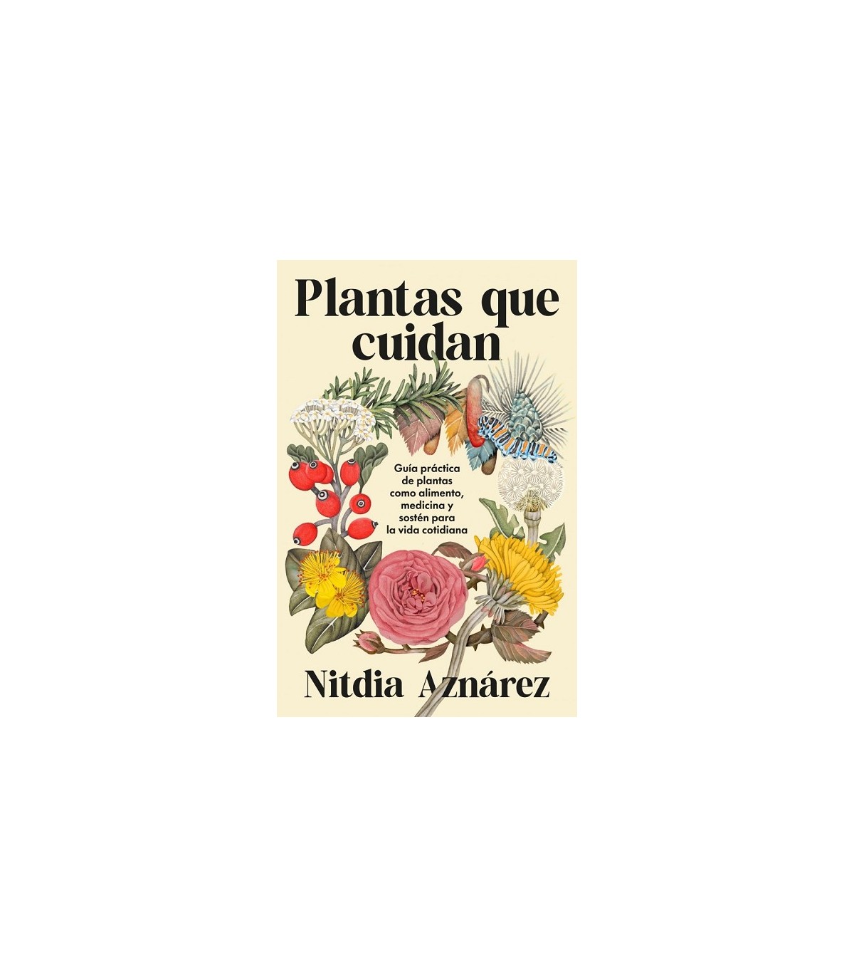 PLANTAS QUE CUIDAN