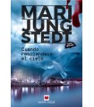 CUANDO RESPLANDECE EL CIELO (SERIE MÁLAGA 3)