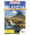 ISLANDIA (CARNET DE VIAJE) PETIT FUTE