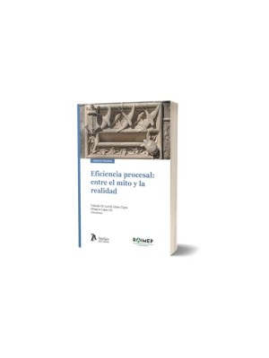 EFICIENCIA PROCESAL: ENTRE EL MITO Y LA REALIDAD.