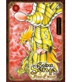 SAINT SEIYA. LOS CABALLEROS DEL ZODÍACO (FINAL EDITION) Nº 08