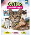 GATOS RAZAS MAS FAMOSAS
