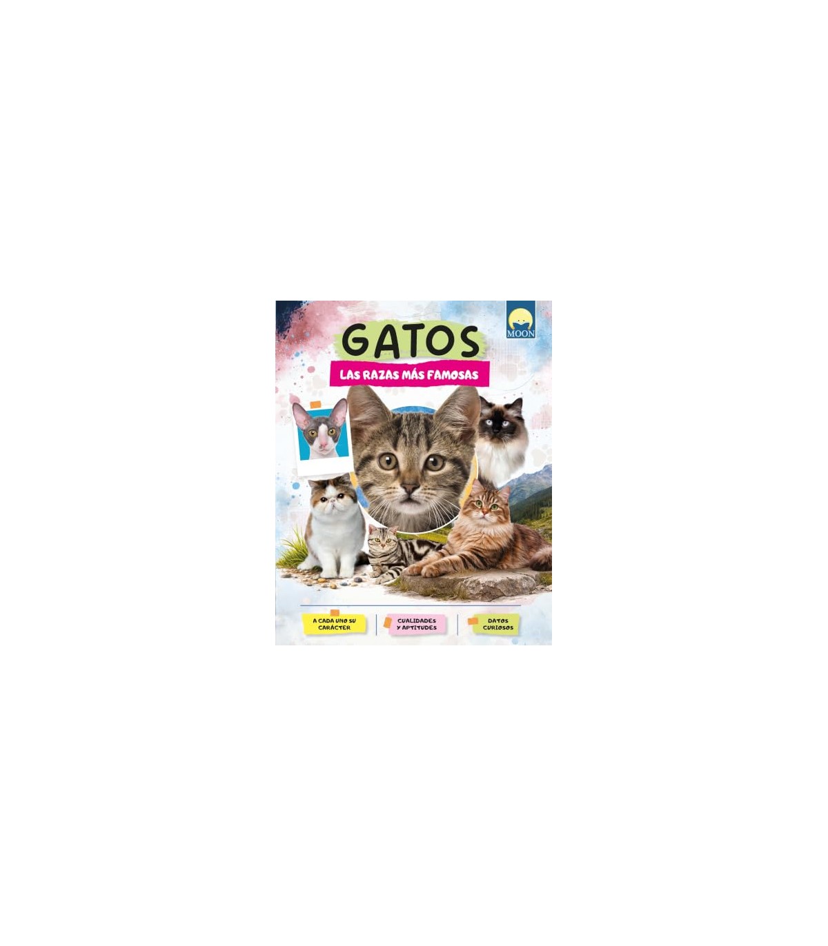 GATOS RAZAS MAS FAMOSAS