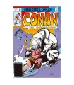 CONAN EL BÁRBARO 22