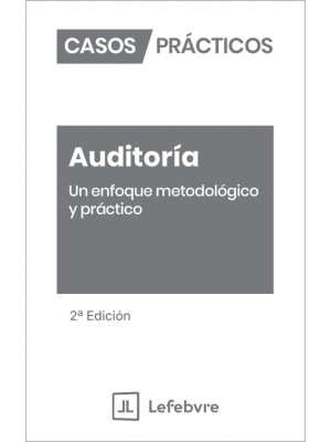 CASOS PRÁCTICOS AUDITORÍA UN ENFOQUE METODOLÓGICO Y PRÁCTICO 2ª EDICIÓN