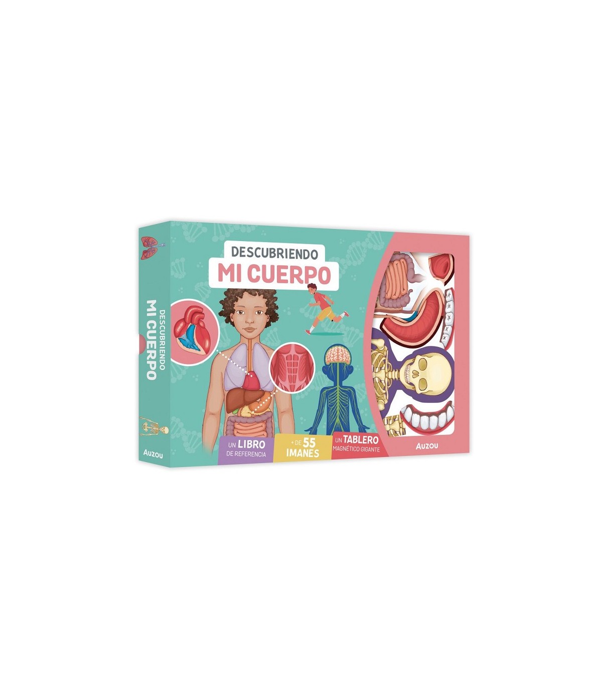 DESCUBRIENDO MI CUERPO. TABLERO MAGNÉTICO