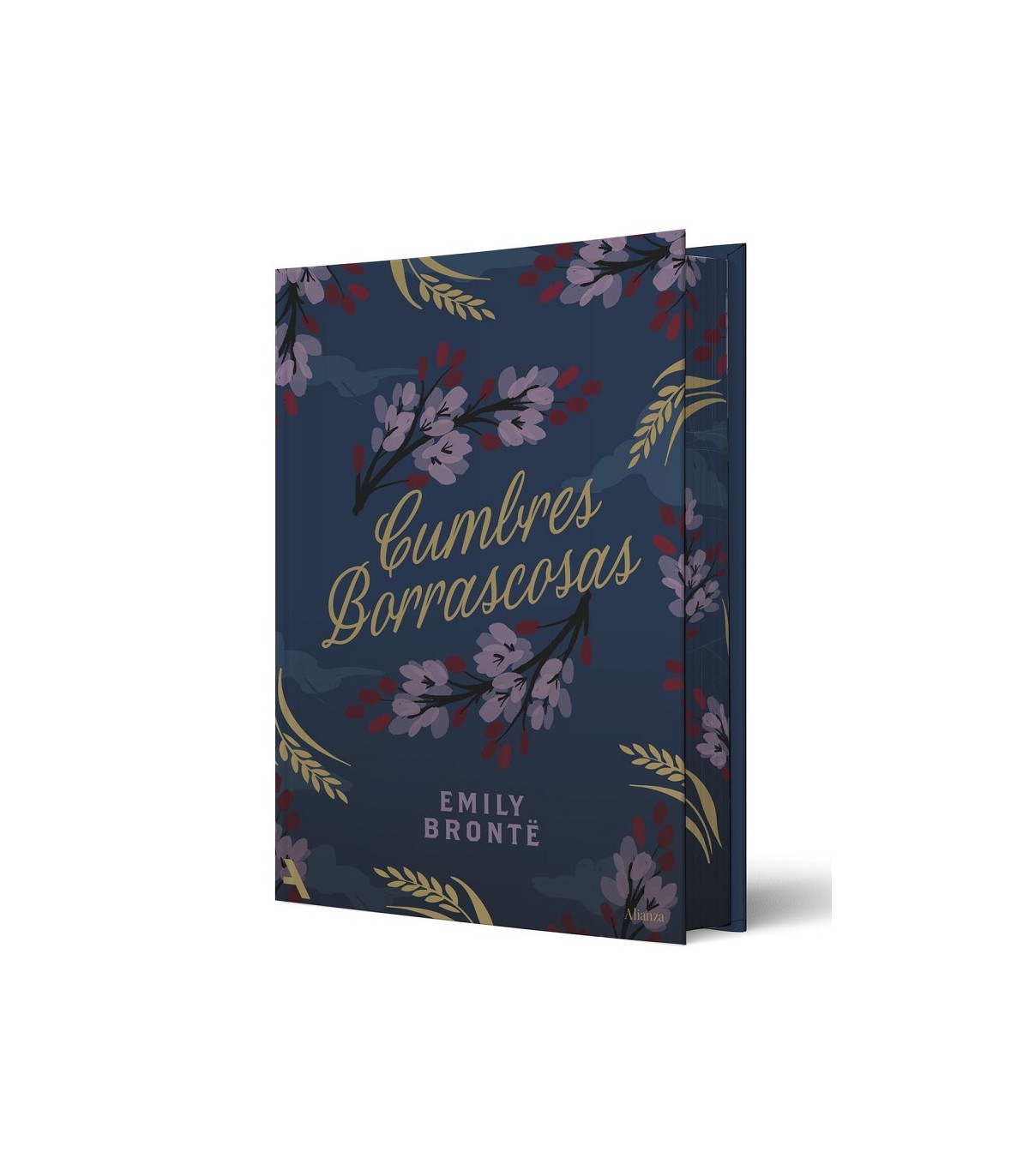 CUMBRES BORRASCOSAS