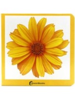 AMARILLO