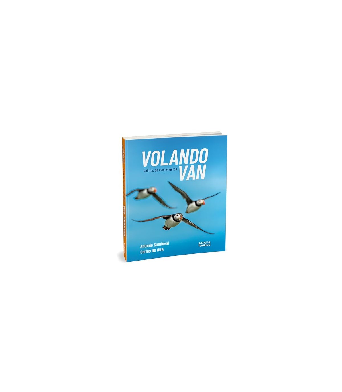 VOLANDO VAN