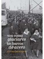 SON COMO GLACIARES LOS BARCOS DE ACERO