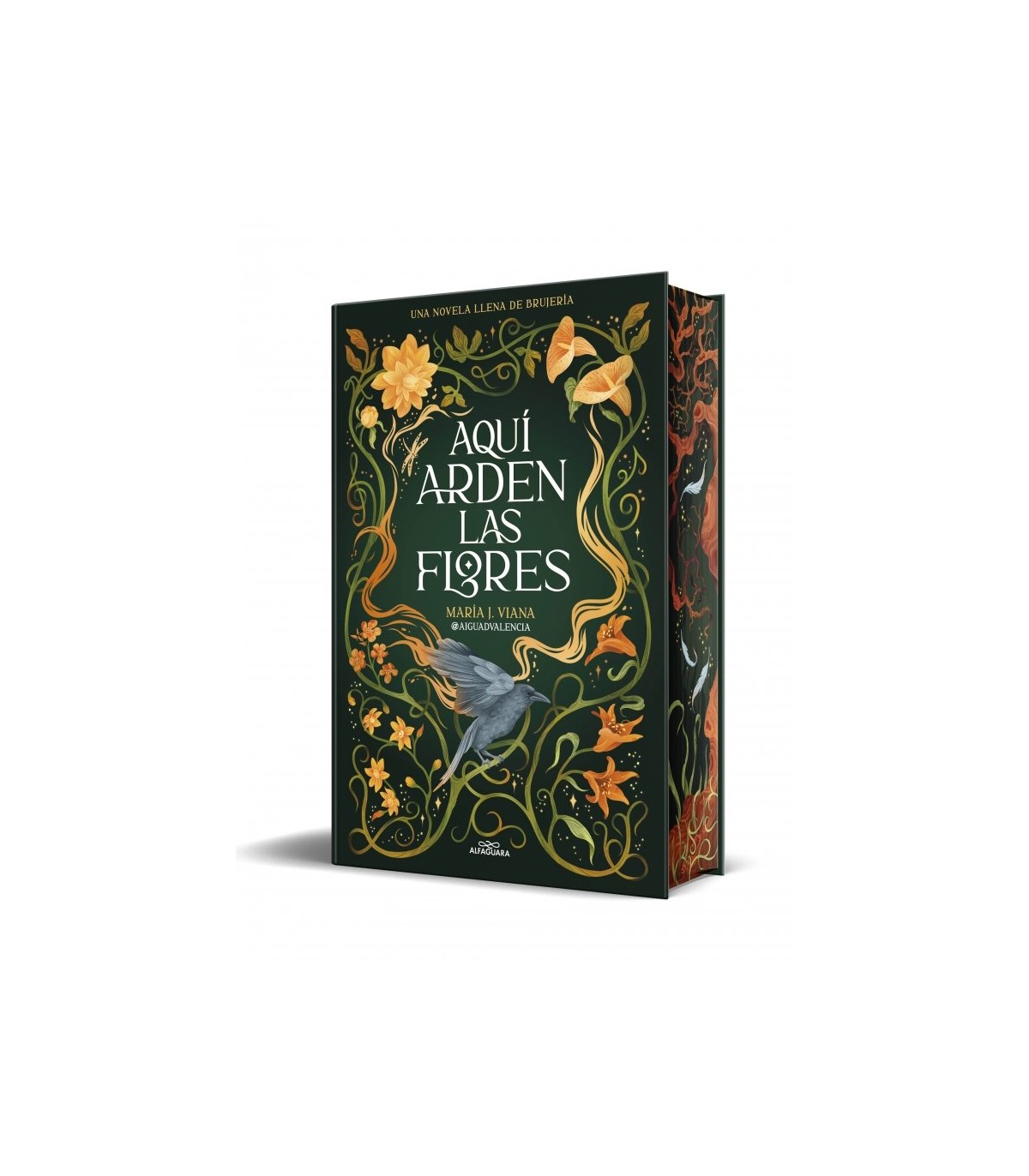 AQUÍ ARDEN LAS FLORES