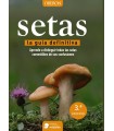 SETAS