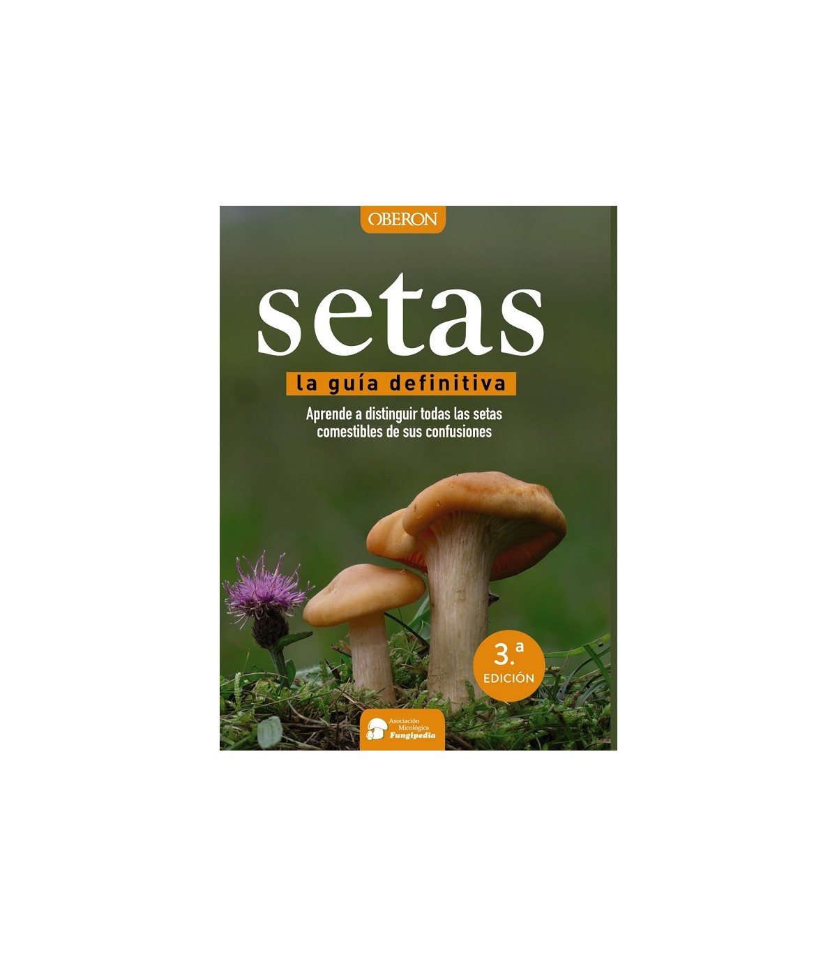 SETAS