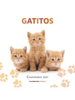 CALENDARIO GATITOS 2027