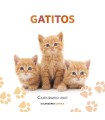 CALENDARIO GATITOS 2027