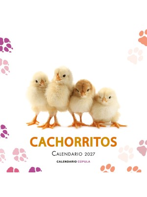 CALENDARIO CACHORRITOS 2027