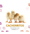 CALENDARIO CACHORRITOS 2027