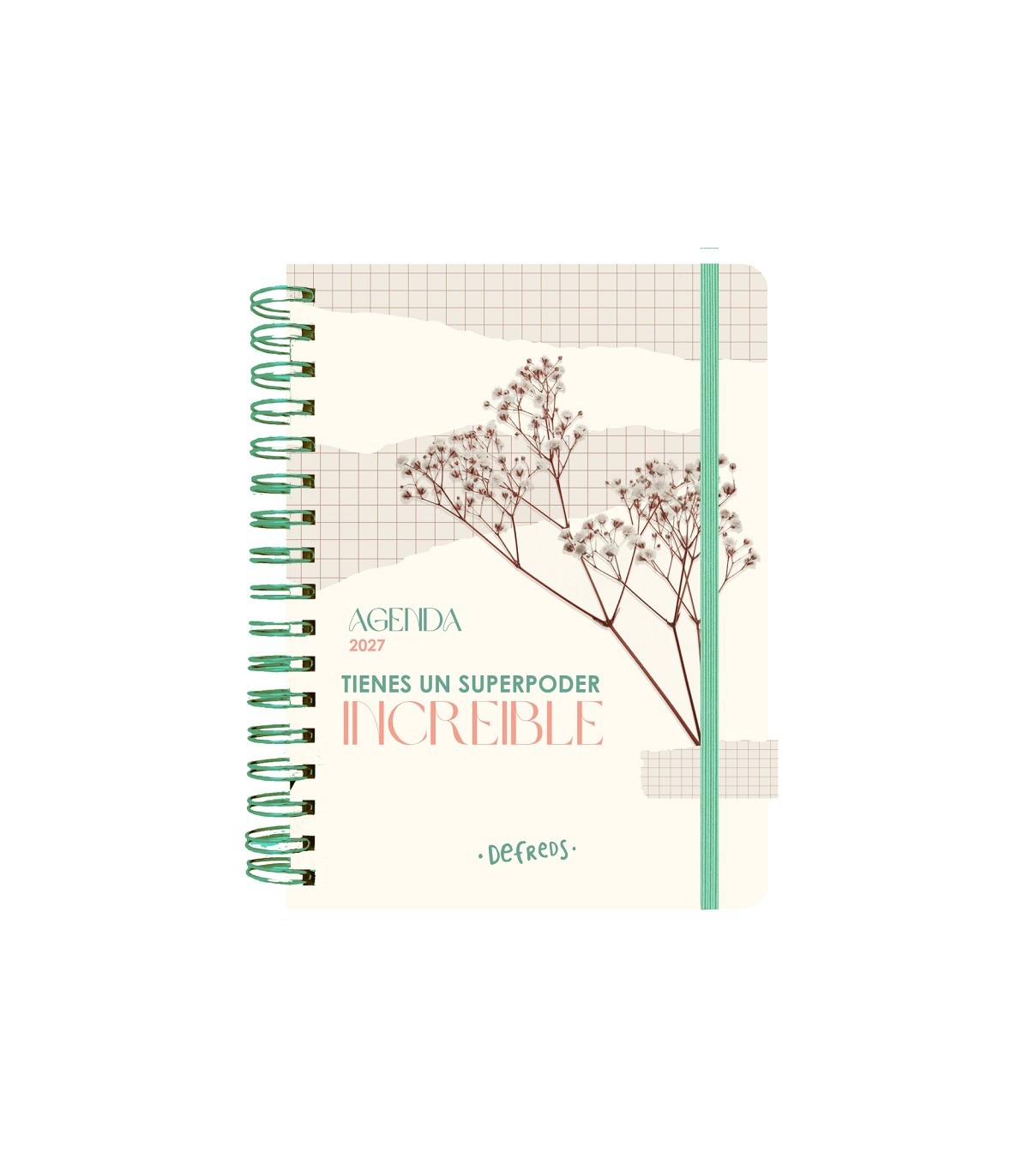 AGENDA ANUAL SEMANAL 2027 DEFREDS