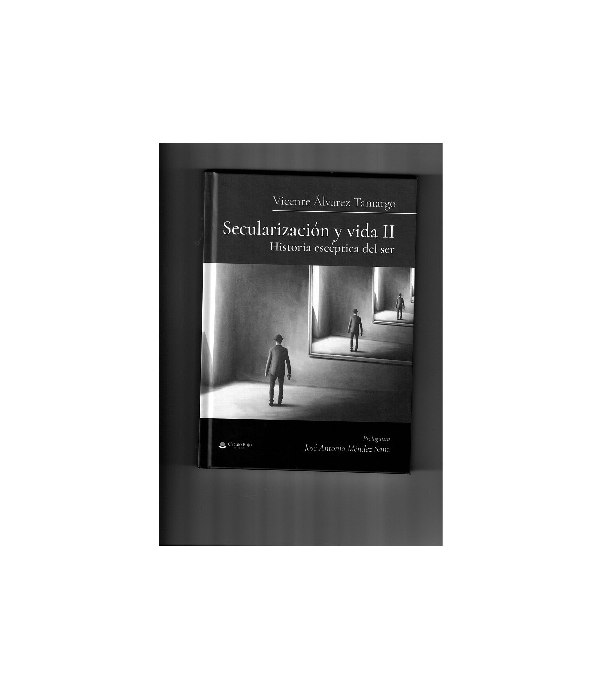 SECULARIZACION Y VIDA II