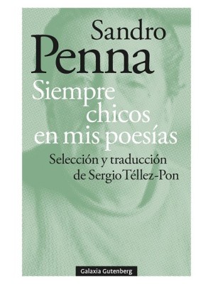SIEMPRE CHICOS EN MIS POESÍAS