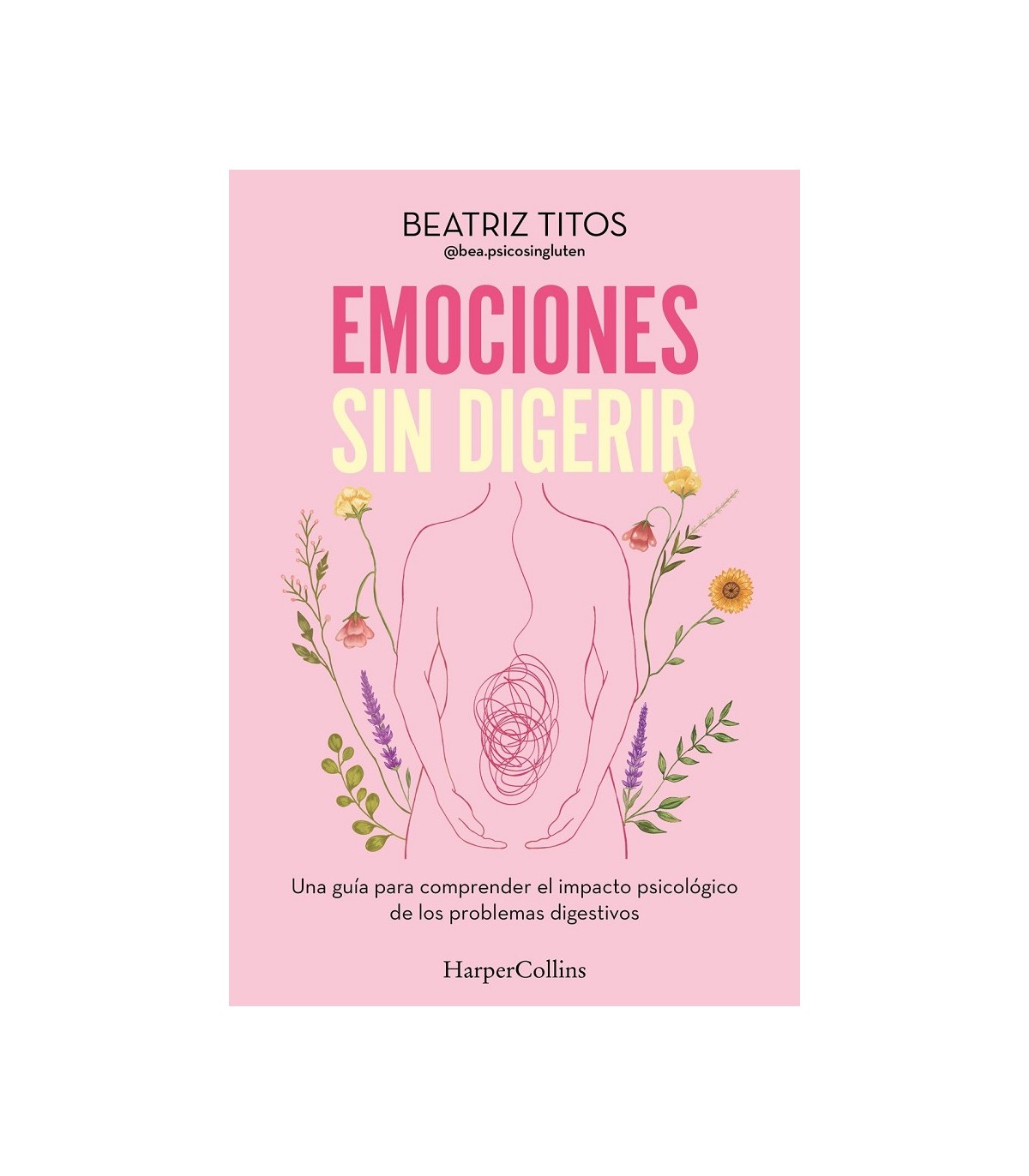 EMOCIONES SIN DIGERIR