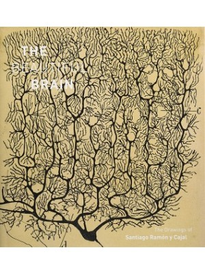 BEAUTIFUL BRAIN, THE - THE DRAWINGS OF SANTIAGO RAMÓN Y CAJAL