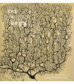 BEAUTIFUL BRAIN, THE - THE DRAWINGS OF SANTIAGO RAMÓN Y CAJAL