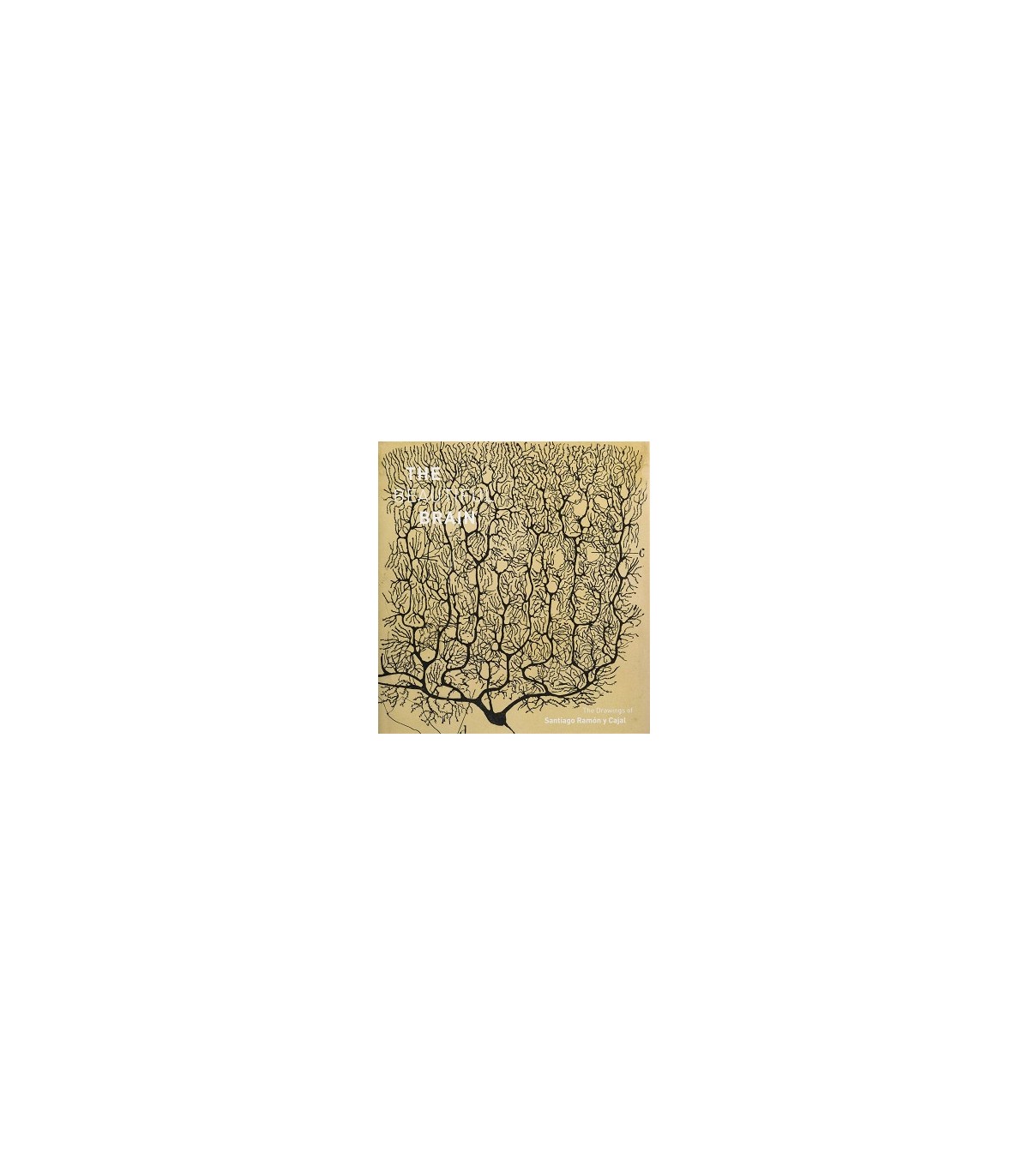 BEAUTIFUL BRAIN, THE - THE DRAWINGS OF SANTIAGO RAMÓN Y CAJAL