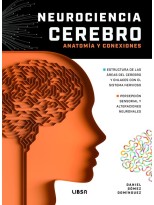 NEUROCIENCIA CEREBRO ANATOMÍA Y CONEXIONES