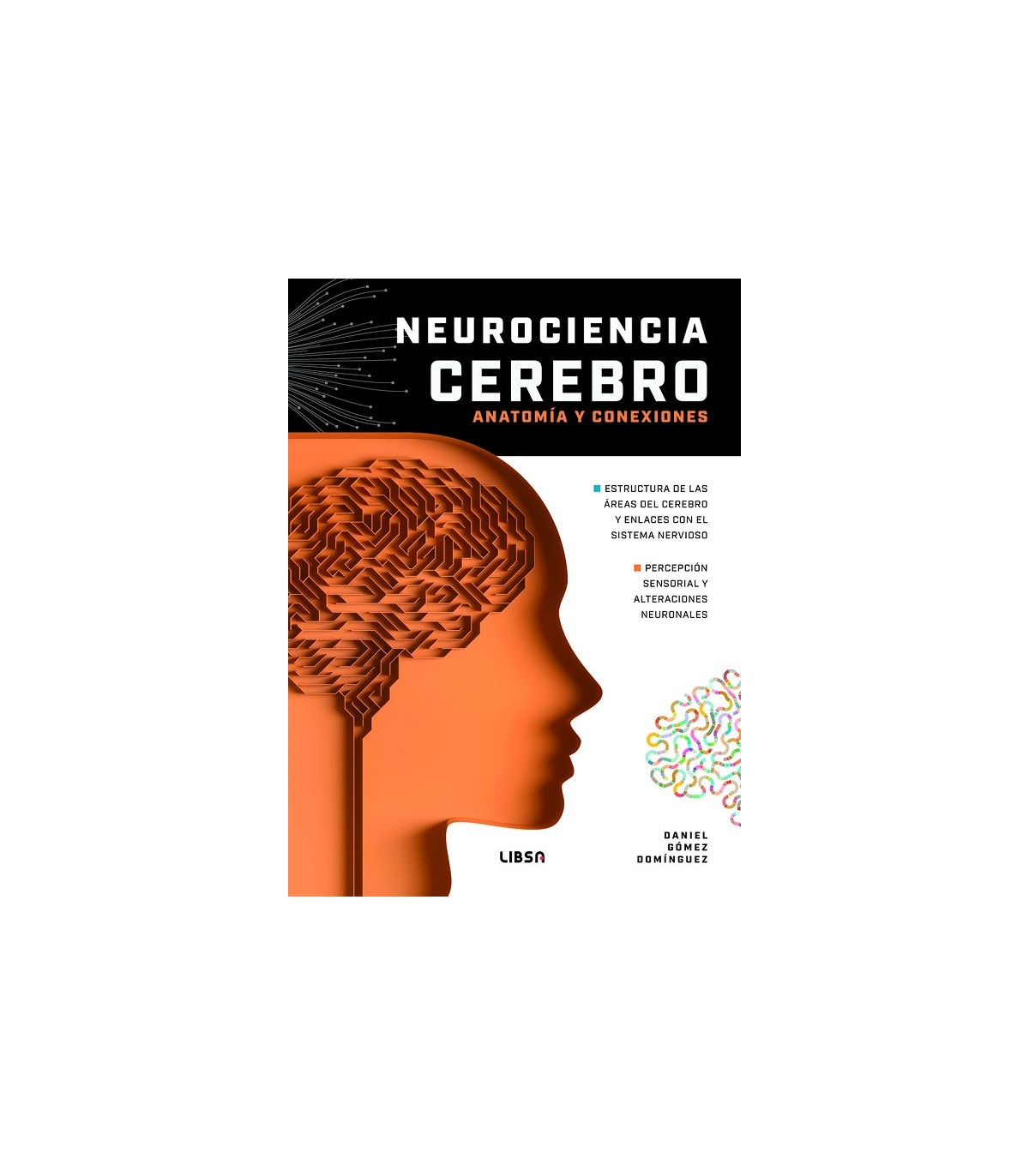 NEUROCIENCIA CEREBRO ANATOMÍA Y CONEXIONES