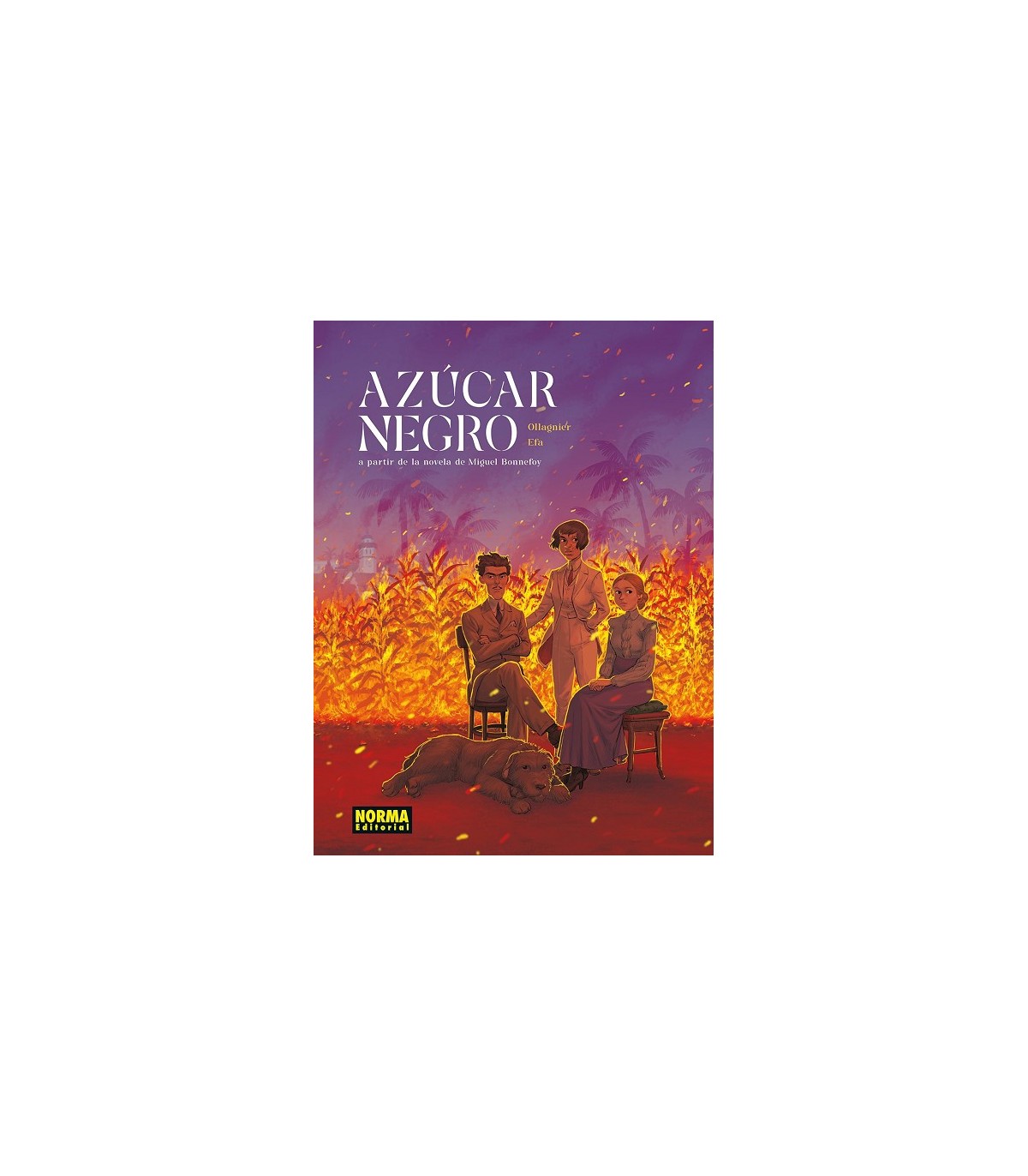 AZÚCAR NEGRO
