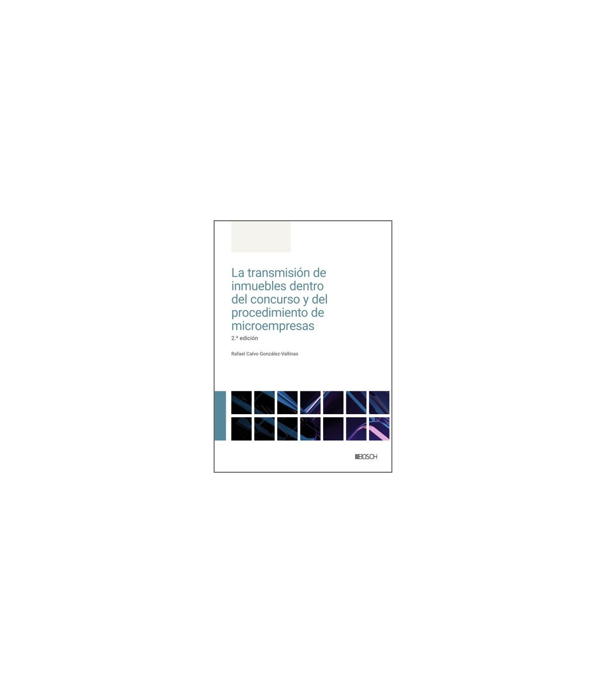 TRANSMISIÓN DE INMUEBLES DENTRO DEL CONCURSO Y DEL PROCEDIMIENTO DE MICROEMPR