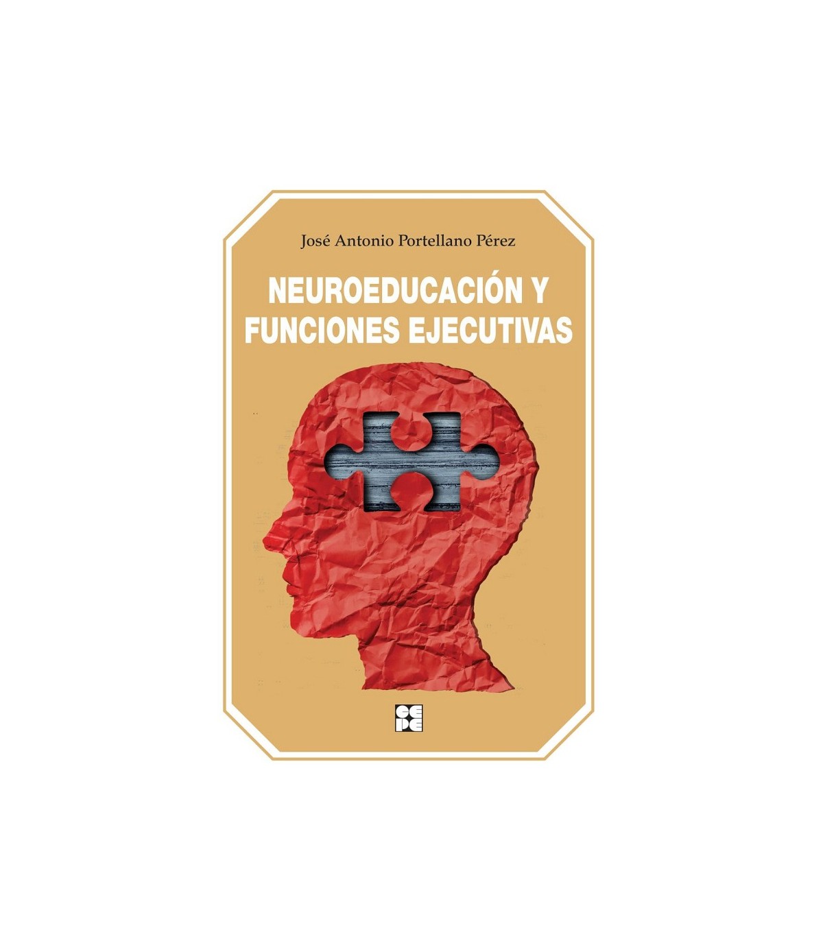 NEUROEDUCACIÓN Y FUNCIONES EJECUTIVAS