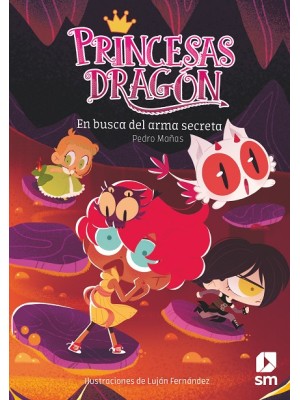 PRINCESAS DRAGÓN /13 EN BUSCA DEL ARMA SECRETA