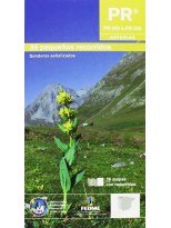 36 PEQUEÑOS RECORRIDOS POR ASTURIAS TOMO III