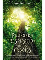 PROFUNDA RESPIRACIÓN DE LOS ÁRBOLES