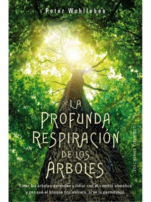 PROFUNDA RESPIRACIÓN DE LOS ÁRBOLES