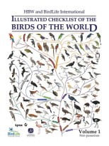 HBW AND BIRDLIFE INTERNATIONAL ILLUSTRATED CHECKLIST OF THE BIRDS OF THE WORLD