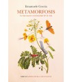 METAMORFOSIS