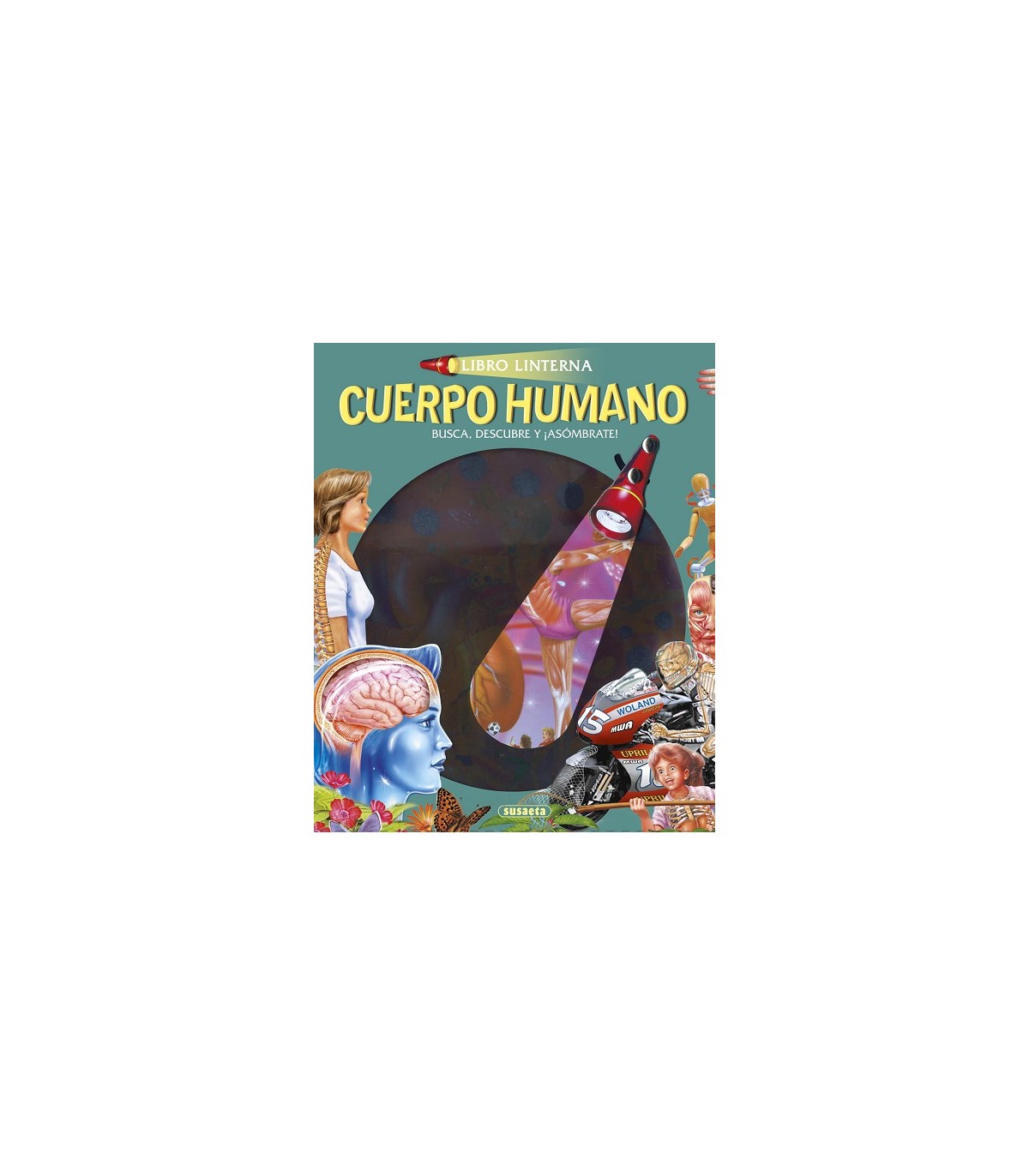 Cuerpo Humano Libro Linterna 3112