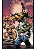 INCREÍBLE HULK DE PETER DAVIS 2 PERDIDO EN LAS VEGAS