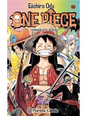 ONE PIECE /100